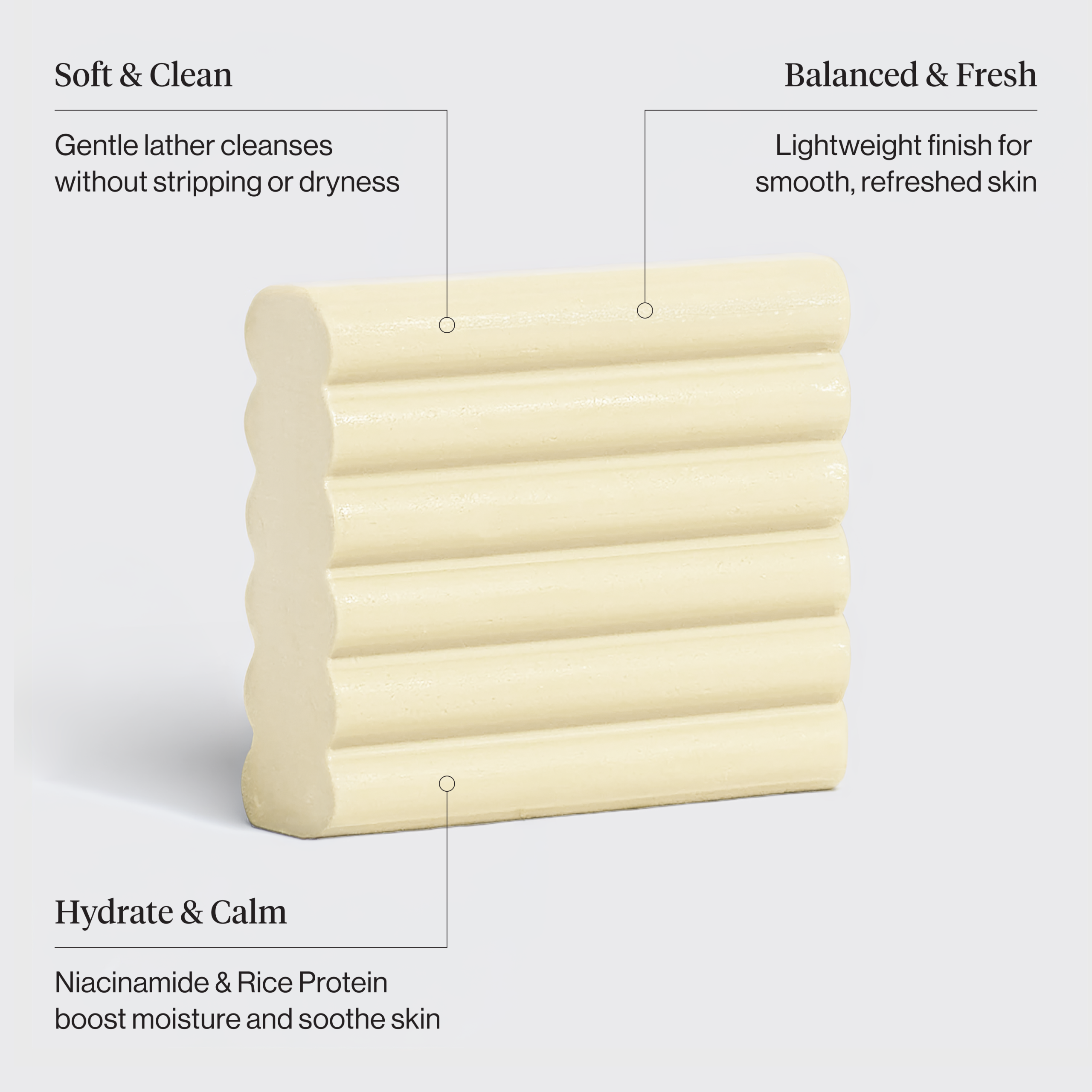 506302_Rice_Water_Protein_Face_Body_Wash_Bar_Infographic-1.png
