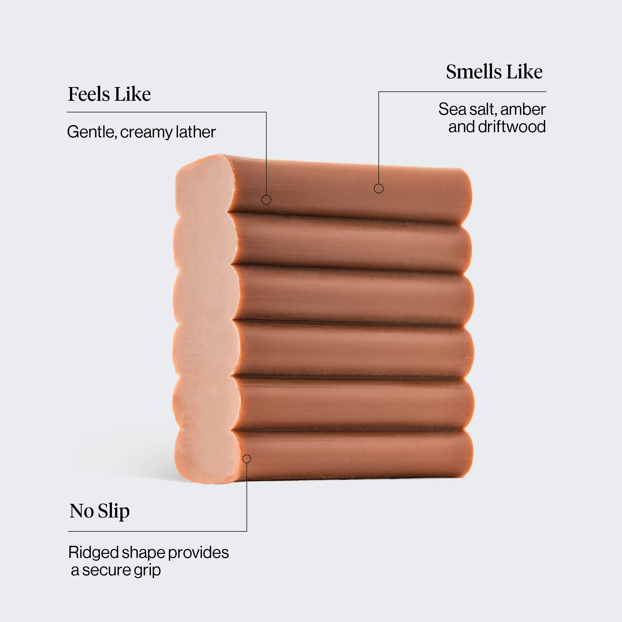 Infographics-72-dpi_Amber_Shores_Bar-1.png